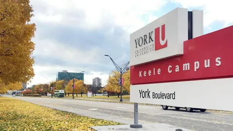 York University Scholarships 2025