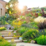 How to Create a Drought-Resistant Garden