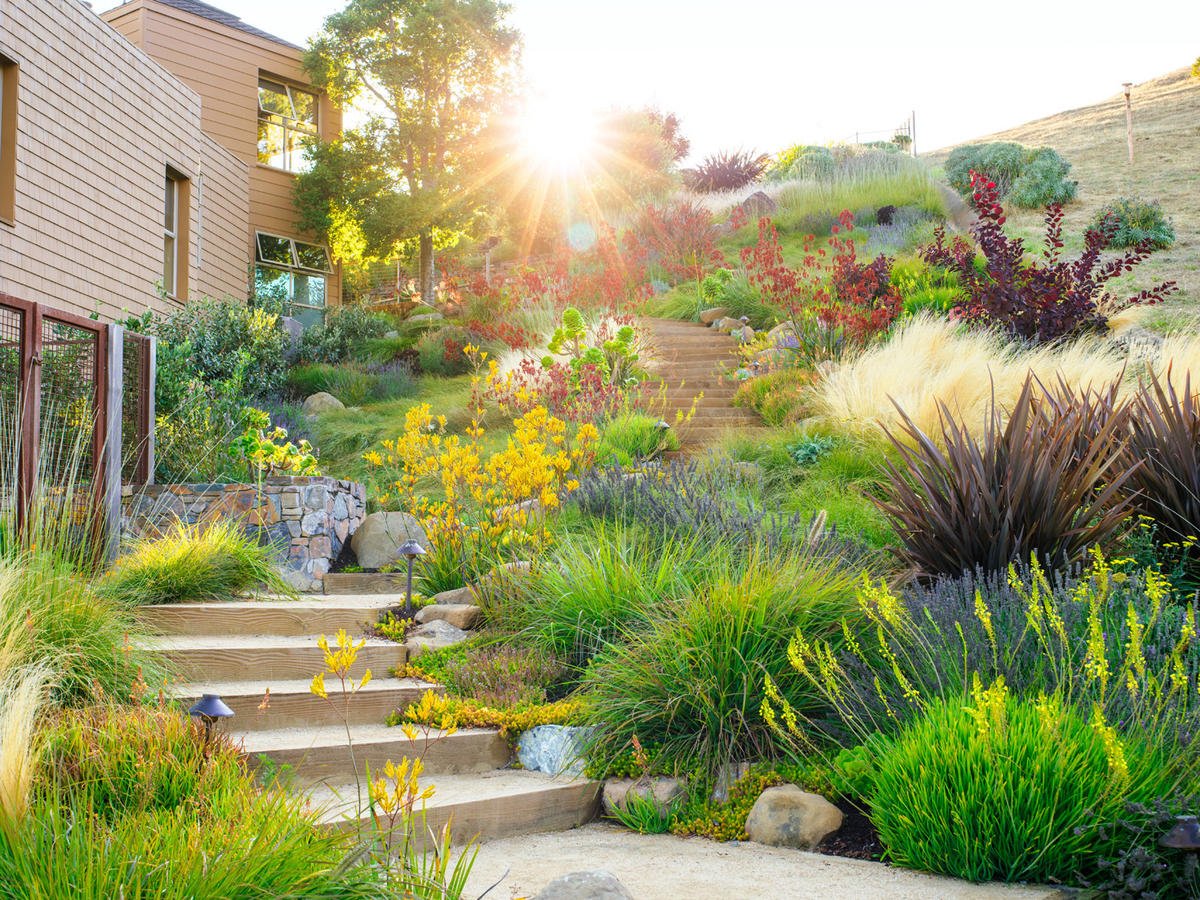 How to Create a Drought-Resistant Garden