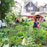 How to Start a Community Garden in Your Neighborhood