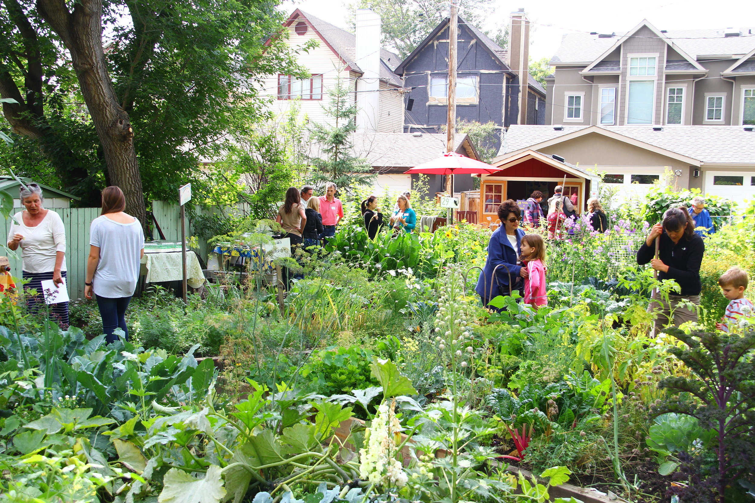 How to Start a Community Garden in Your Neighborhood