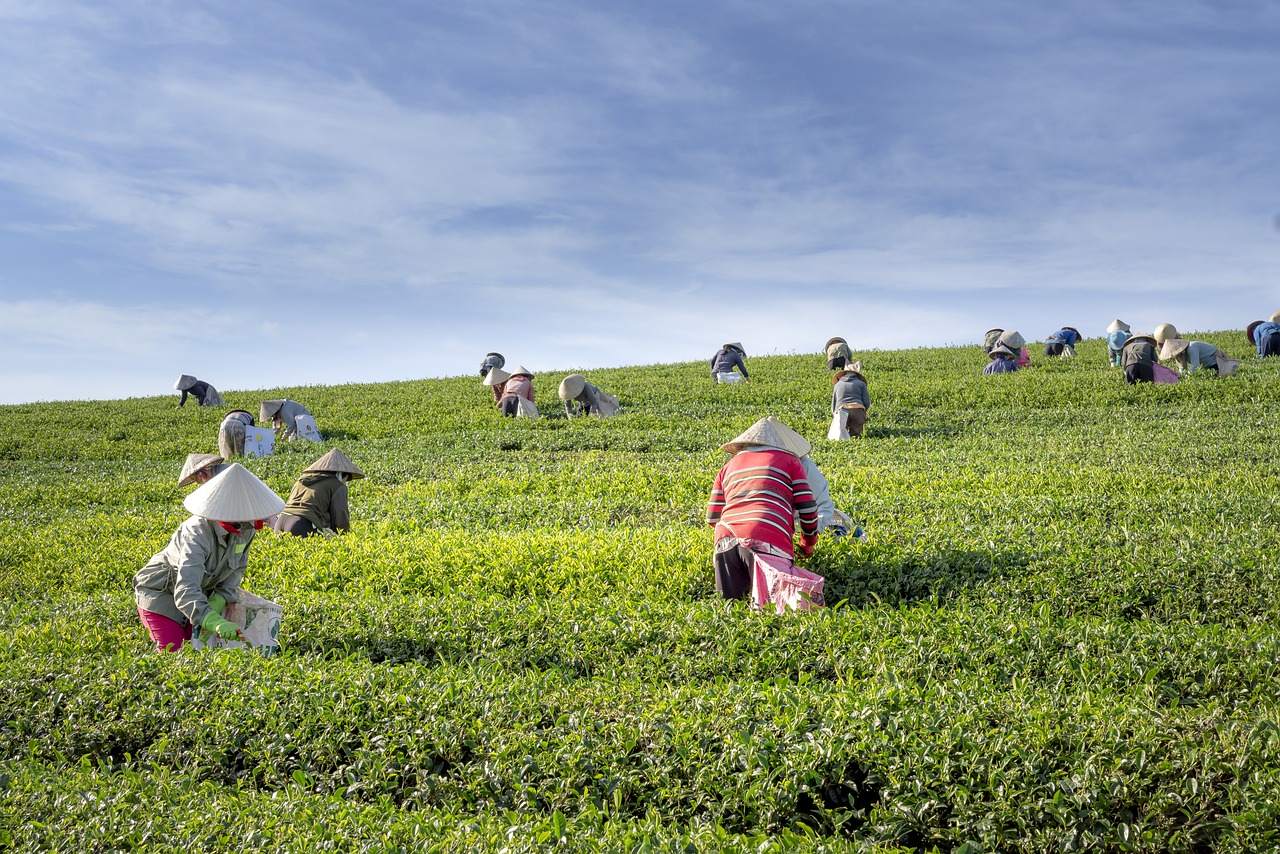 Farming Jobs