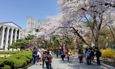 Fully Funded Scholarships in South Korean Universities