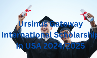 Ursinus Gateway International Scholarship in USA 2024/2025