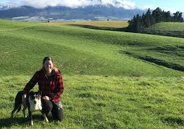 Job advertisement for Head Shepherd position at Mt Somers Station in Ashburton, New Zealand."
