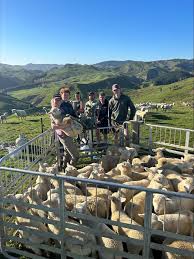 "Job advertisement for a Shepherd General position at Waipuna Farm – Pāmu (Landcorp) in New Zealand, looking for a capable farm worker with experience in livestock care and general farm operations."