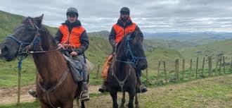 Stock Manager Needed at Parikanapa Station, Gisborne, New Zealand